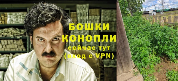 мескалин Богданович