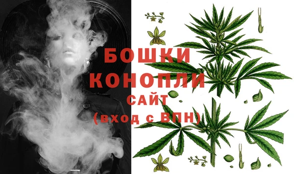 мескалин Богданович