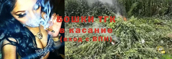 мескалин Богданович