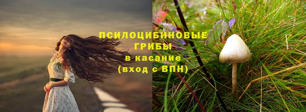 дурь Богородск