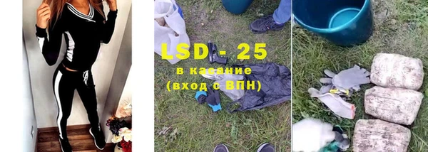 мескалин Богданович