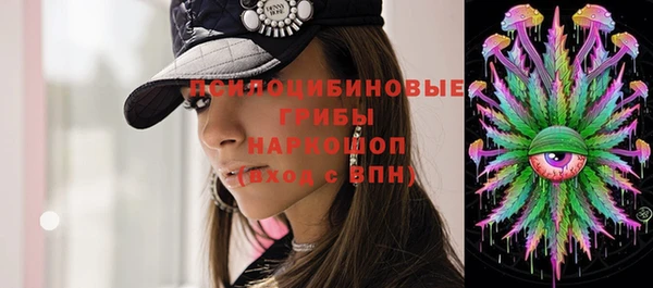 дурь Богородск