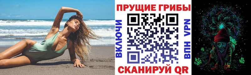 Псилоцибиновые грибы Psilocybe хочу наркоту Новокузнецк